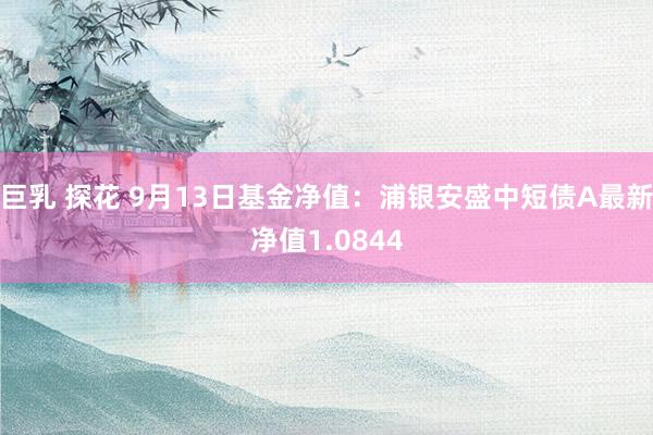 巨乳 探花 9月13日基金净值：浦银安盛中短债A最新净值1.0844