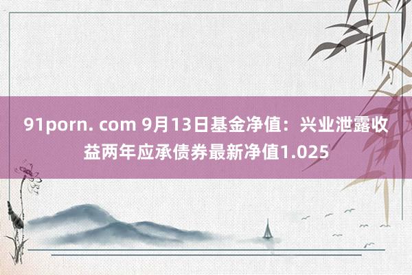 91porn. com 9月13日基金净值：兴业泄露收益两年应承债券最新净值1.025