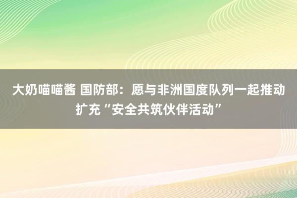 大奶喵喵酱 国防部：愿与非洲国度队列一起推动扩充“安全共筑伙伴活动”