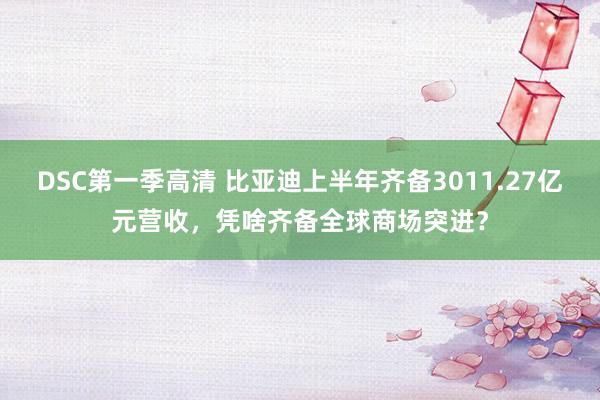 DSC第一季高清 比亚迪上半年齐备3011.27亿元营收，凭啥齐备全球商场突进？