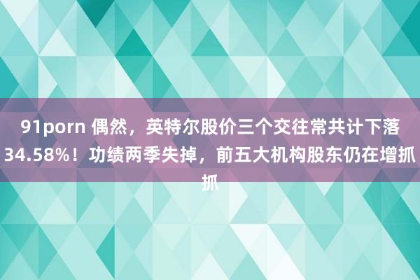 91porn 偶然，英特尔股价三个交往常共计下落34.58%！功绩两季失掉，前五大机构股东仍在增抓