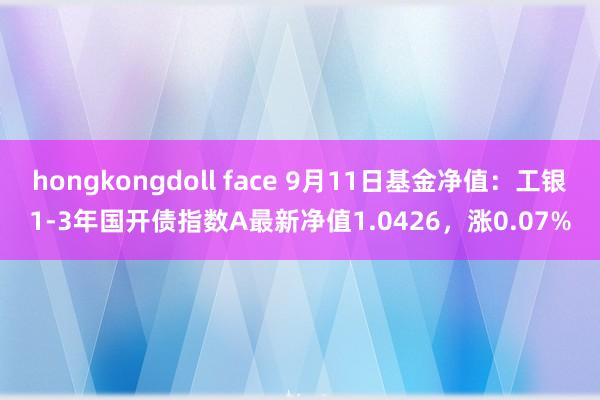 hongkongdoll face 9月11日基金净值：工银1-3年国开债指数A最新净值1.0426，涨0.07%