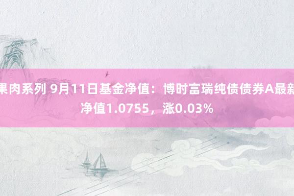 果肉系列 9月11日基金净值：博时富瑞纯债债券A最新净值1.0755，涨0.03%