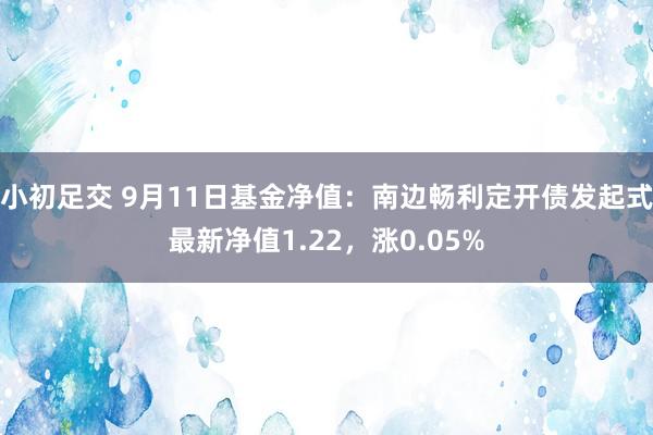 小初足交 9月11日基金净值：南边畅利定开债发起式最新净值1.22，涨0.05%