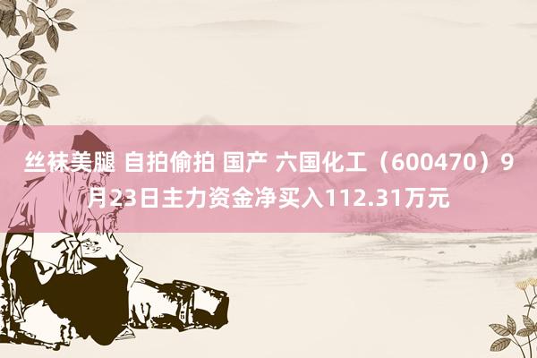 丝袜美腿 自拍偷拍 国产 六国化工（600470）9月23日主力资金净买入112.31万元