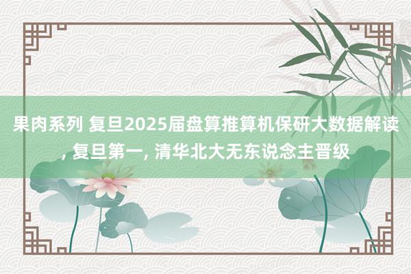 果肉系列 复旦2025届盘算推算机保研大数据解读， 复旦第一， 清华北大无东说念主晋级