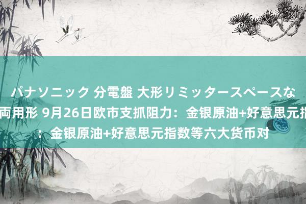 パナソニック 分電盤 大形リミッタースペースなし 露出・半埋込両用形 9月26日欧市支抓阻力：金银原油+好意思元指数等六大货币对