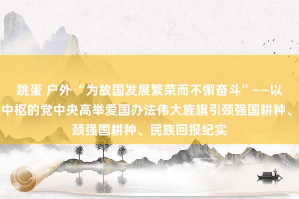 跳蛋 户外 “为故国发展繁荣而不懈奋斗”——以习近平同道为中枢的党中央高举爱国办法伟大旌旗引颈强国耕种、民族回报纪实