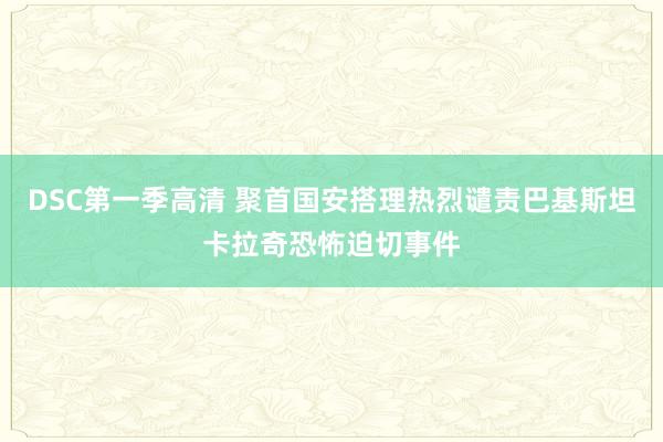 DSC第一季高清 聚首国安搭理热烈谴责巴基斯坦卡拉奇恐怖迫切事件