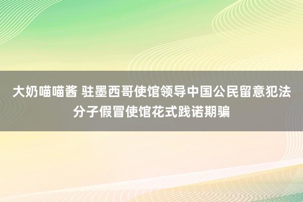 大奶喵喵酱 驻墨西哥使馆领导中国公民留意犯法分子假冒使馆花式践诺期骗