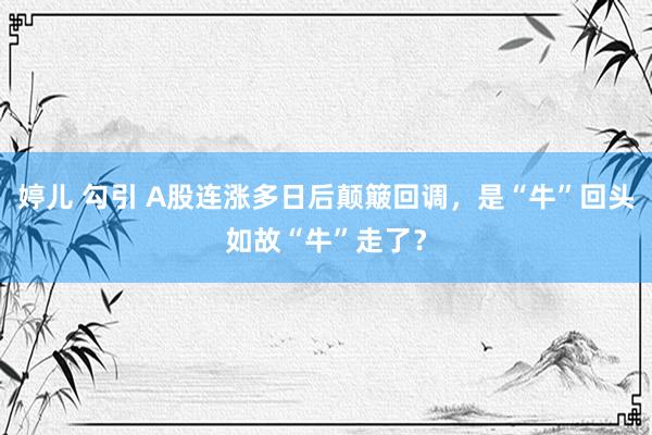 婷儿 勾引 A股连涨多日后颠簸回调，是“牛”回头如故“牛”走了？