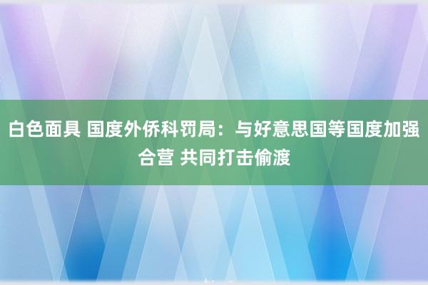 白色面具 国度外侨科罚局：与好意思国等国度加强合营 共同打击偷渡