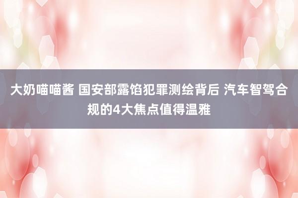 大奶喵喵酱 国安部露馅犯罪测绘背后 汽车智驾合规的4大焦点值得温雅