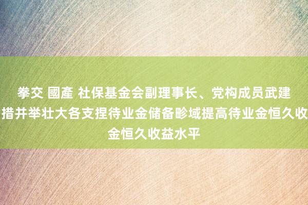 拳交 國產 社保基金会副理事长、党构成员武建力：多措并举壮大各支捏待业金储备畛域提高待业金恒久收益水平