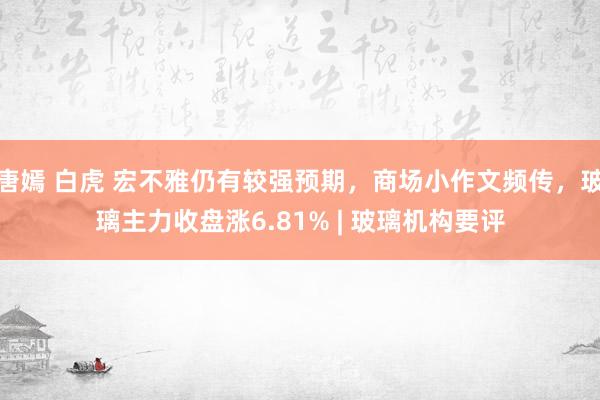 唐嫣 白虎 宏不雅仍有较强预期，商场小作文频传，玻璃主力收盘涨6.81% | 玻璃机构要评