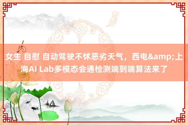 女生 自慰 自动驾驶不怵恶劣天气，西电&上海AI Lab多模态会通检测端到端算法来了