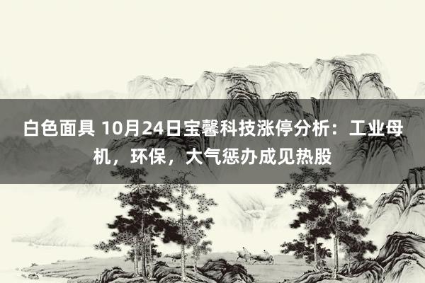 白色面具 10月24日宝馨科技涨停分析：工业母机，环保，大气惩办成见热股