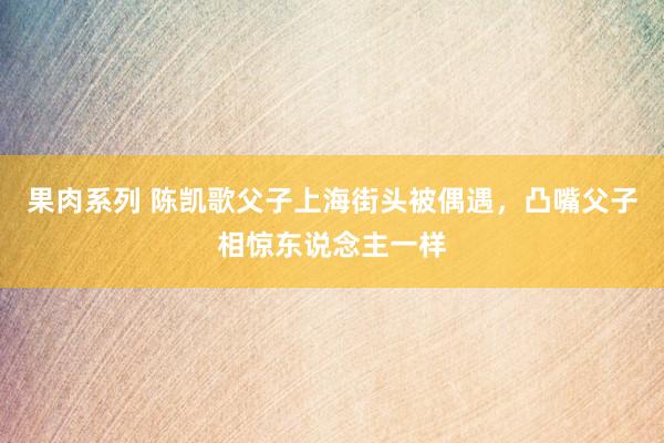 果肉系列 陈凯歌父子上海街头被偶遇，凸嘴父子相惊东说念主一样