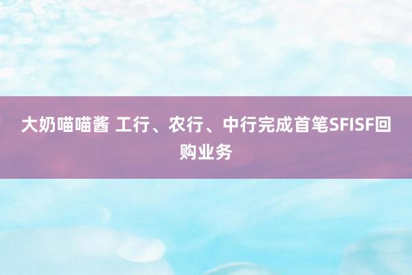 大奶喵喵酱 工行、农行、中行完成首笔SFISF回购业务