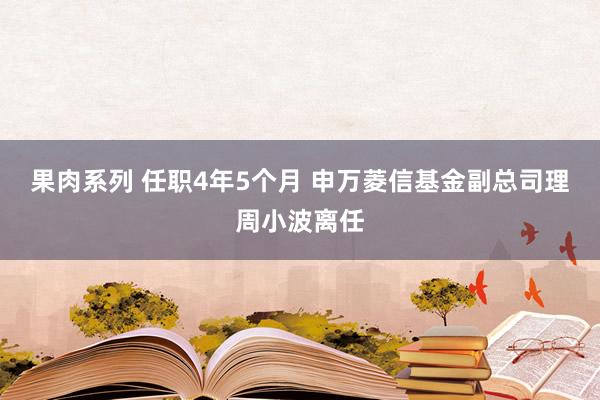 果肉系列 任职4年5个月 申万菱信基金副总司理周小波离任