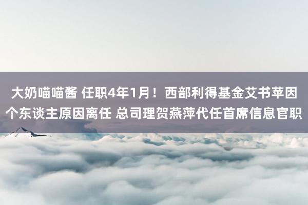 大奶喵喵酱 任职4年1月！西部利得基金艾书苹因个东谈主原因离任 总司理贺燕萍代任首席信息官职