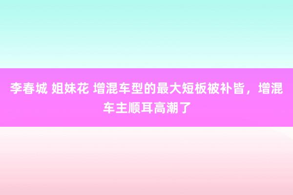 李春城 姐妹花 增混车型的最大短板被补皆，增混车主顺耳高潮了