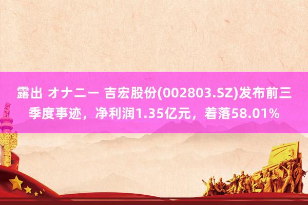 露出 オナニー 吉宏股份(002803.SZ)发布前三季度事迹，净利润1.35亿元，着落58.01%