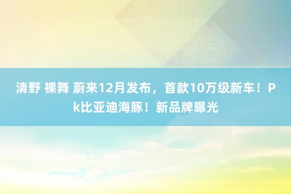 清野 裸舞 蔚来12月发布，首款10万级新车！Pk比亚迪海豚！新品牌曝光