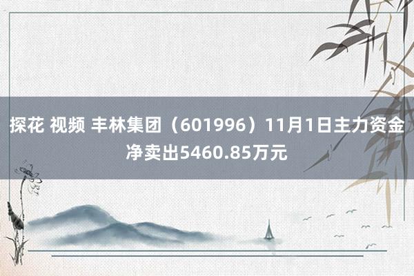 探花 视频 丰林集团（601996）11月1日主力资金净卖出5460.85万元