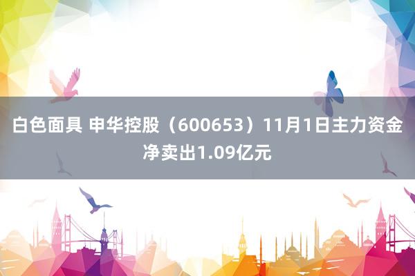 白色面具 申华控股（600653）11月1日主力资金净卖出1.09亿元