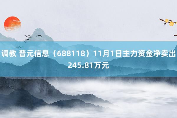 调教 普元信息（688118）11月1日主力资金净卖出245.81万元