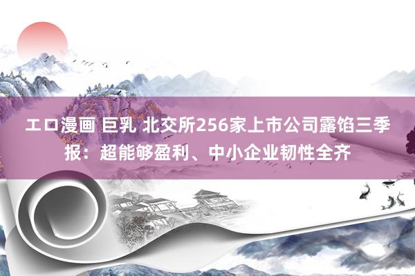 エロ漫画 巨乳 北交所256家上市公司露馅三季报：超能够盈利、中小企业韧性全齐