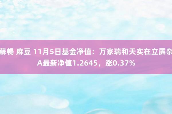 蘇暢 麻豆 11月5日基金净值：万家瑞和天实在立羼杂A最新净值1.2645，涨0.37%