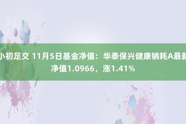 小初足交 11月5日基金净值：华泰保兴健康销耗A最新净值1.0966，涨1.41%