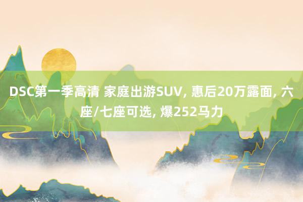 DSC第一季高清 家庭出游SUV， 惠后20万露面， 六座/七座可选， 爆252马力