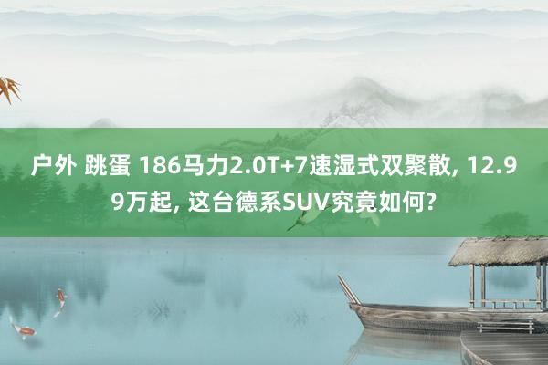 户外 跳蛋 186马力2.0T+7速湿式双聚散， 12.99万起， 这台德系SUV究竟如何?