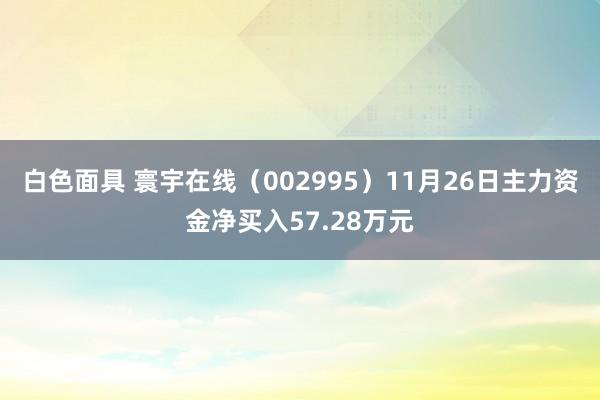 白色面具 寰宇在线（002995）11月26日主力资金净买入57.28万元