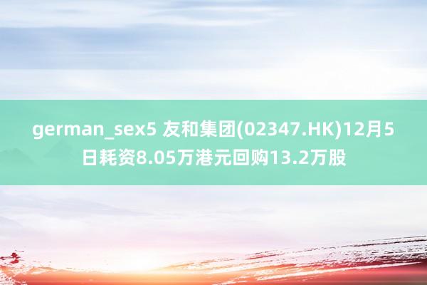 german_sex5 友和集团(02347.HK)12月5日耗资8.05万港元回购13.2万股