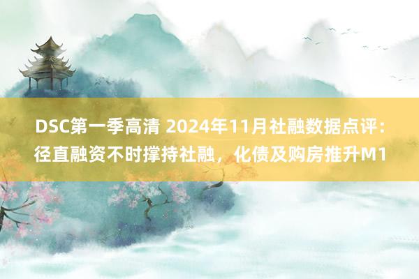 DSC第一季高清 2024年11月社融数据点评：径直融资不时撑持社融，化债及购房推升M1