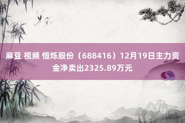 麻豆 视频 恒烁股份（688416）12月19日主力资金净卖出2325.89万元