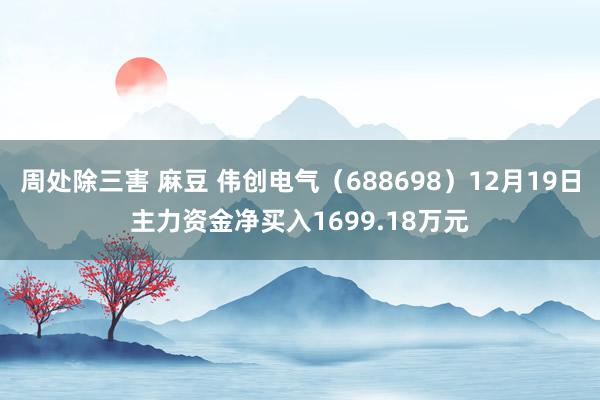 周处除三害 麻豆 伟创电气（688698）12月19日主力资金净买入1699.18万元