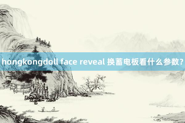 hongkongdoll face reveal 换蓄电板看什么参数？