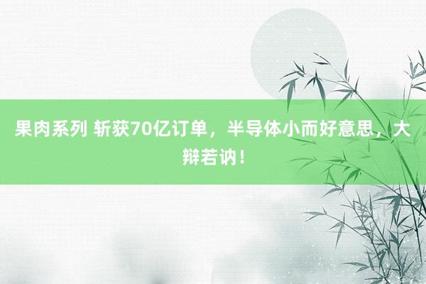 果肉系列 斩获70亿订单，半导体小而好意思，大辩若讷！