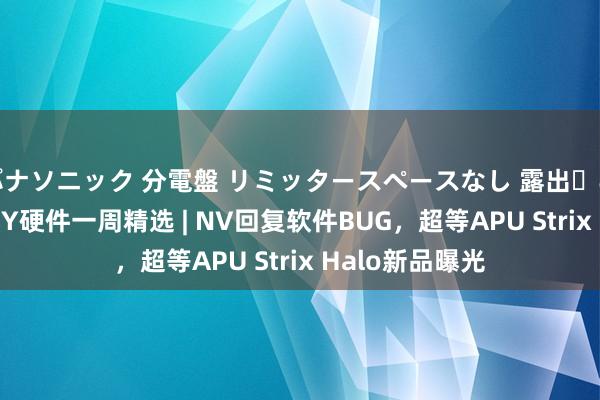 パナソニック 分電盤 リミッタースペースなし 露出・半埋込両用形 DIY硬件一周精选 | NV回复软件BUG，超等APU Strix Halo新品曝光