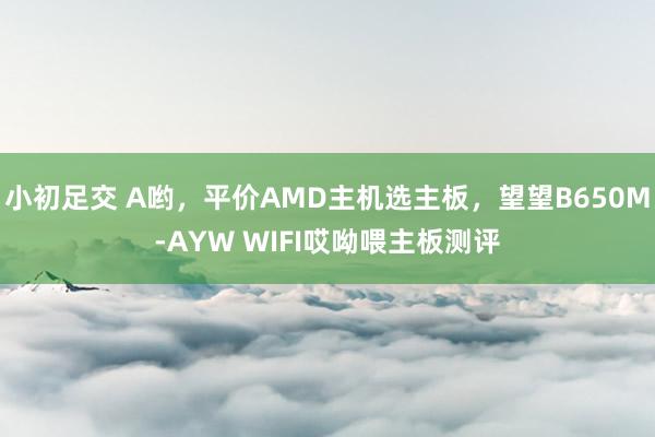 小初足交 A哟，平价AMD主机选主板，望望B650M-AYW WIFI哎呦喂主板测评