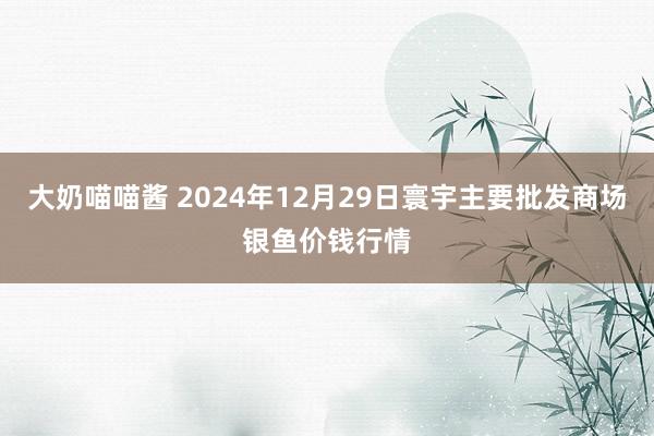 大奶喵喵酱 2024年12月29日寰宇主要批发商场银鱼价钱行情