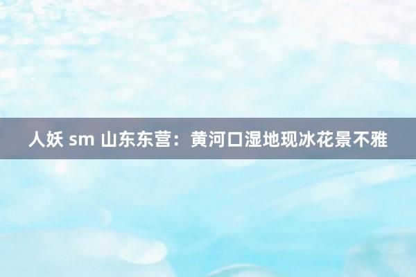 人妖 sm 山东东营：黄河口湿地现冰花景不雅