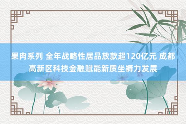 果肉系列 全年战略性居品放款超120亿元 成都高新区科技金融赋能新质坐褥力发展