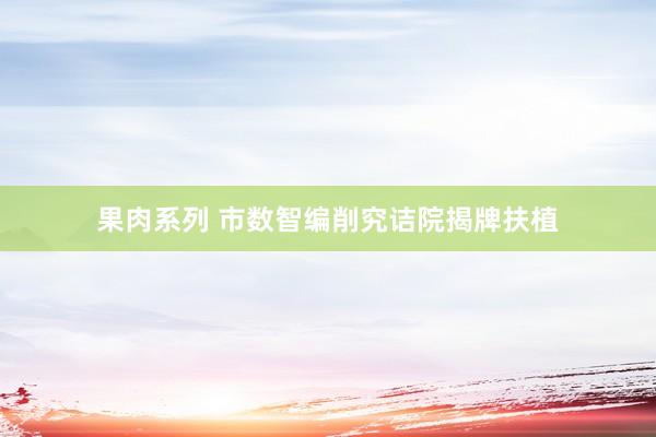 果肉系列 市数智编削究诘院揭牌扶植