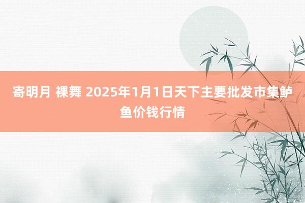 寄明月 裸舞 2025年1月1日天下主要批发市集鲈鱼价钱行情